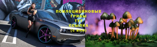 круглые Краснослободск