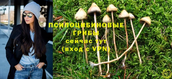 круглые Краснослободск