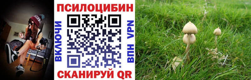 Псилоцибиновые грибы прущие грибы  Купить  Буинск 